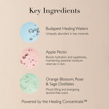 Queen of Hungary Mist