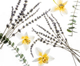 Power Mist Pure Lavender