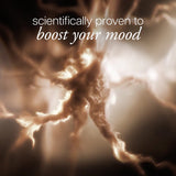 coconut rush body & hair fragrance mist