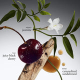 radiant grace firming body emulsion