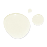 The Geranium Rose Body Oil