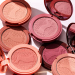 Amazonian Clay 12-hour Blush