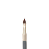 Lip Brush