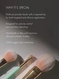 POWDER BRUSH