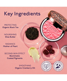 TEA to TAN Powder Blush