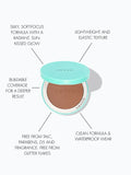 THE BRONZING POWDER