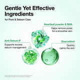 Heartleaf Quercetinol Pore Deep Cleansing Foam
