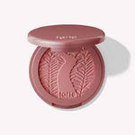 Amazonian Clay 12-hour Blush