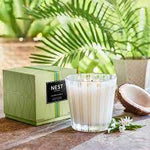 Coconut & Palm 3-Wick Candle