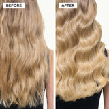 Blond Absolu Blonde Guard