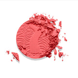 Amazonian Clay 12-hour Blush