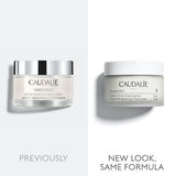 Vinoperfect Instant Brightening Moisturizer with Niacinamide
